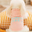 Cute Pet Dog Sweater Winter Dog Warm Clothes Palid Puppy Coat Chihuahua Bichon Yorkie Clothing Sweaters and Hat Set Dog Costume