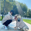 Pet Clothes  Pets Acessorios  Dog Clothing  Dog Costume Parent-child Wear Spring and Autumn One Color Eight Sizes