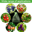 50pcs Fruit Protection Bags Anti-Bird Garden Netting Bags Strawberry Grapes Mesh Bag Plante Vegetable Netting Cover Garden Tool