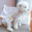 Cute Floral Puppy Dog Cat Princess Lace Dress Skirt Summer Pet Dresses for Small Dogs Poodle Pomeranian mascotas Clothes vestido