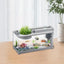 Desk Aquarium Glass Aquarium Modern Silent Desktop Fish Tank With Air Pump For Seaweed Small Corals Betta Fish Shrimp Goldfish