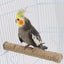 Natural Hemp rope Weaving Pet Bird Stand Parrot Raw Wood Fork Tree Branch Stand Rack Birds Hamster Branch Perches Chew Bite Toys