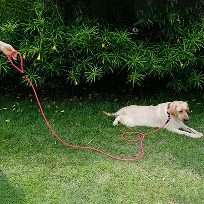 Waterproof PVC Pet Dog Leash 5m 10m Recall Training Leash Strong Tie Out Cable For Small Medium Large Dogs
