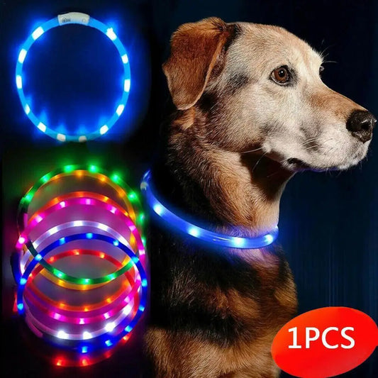 50cm LED Luminous Dog Collar Waterproof And Dustproof Visual Night Dog Walking To Prevent Lost Creative Color Dog Sub-sign Light