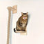 Wall Mounted Cat Tree Climbing Rope Wooden Cat Climbing Shelf with Sisal Rope Kitten Training Claw Grinding Indoor Cat Furniture