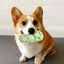 Chewing Toys For Dogs Interactive Slipper-Shaped Puppy Teether Dog Chewing Toys For Cleaning Teeth Tough Teeth Grinding Toy For