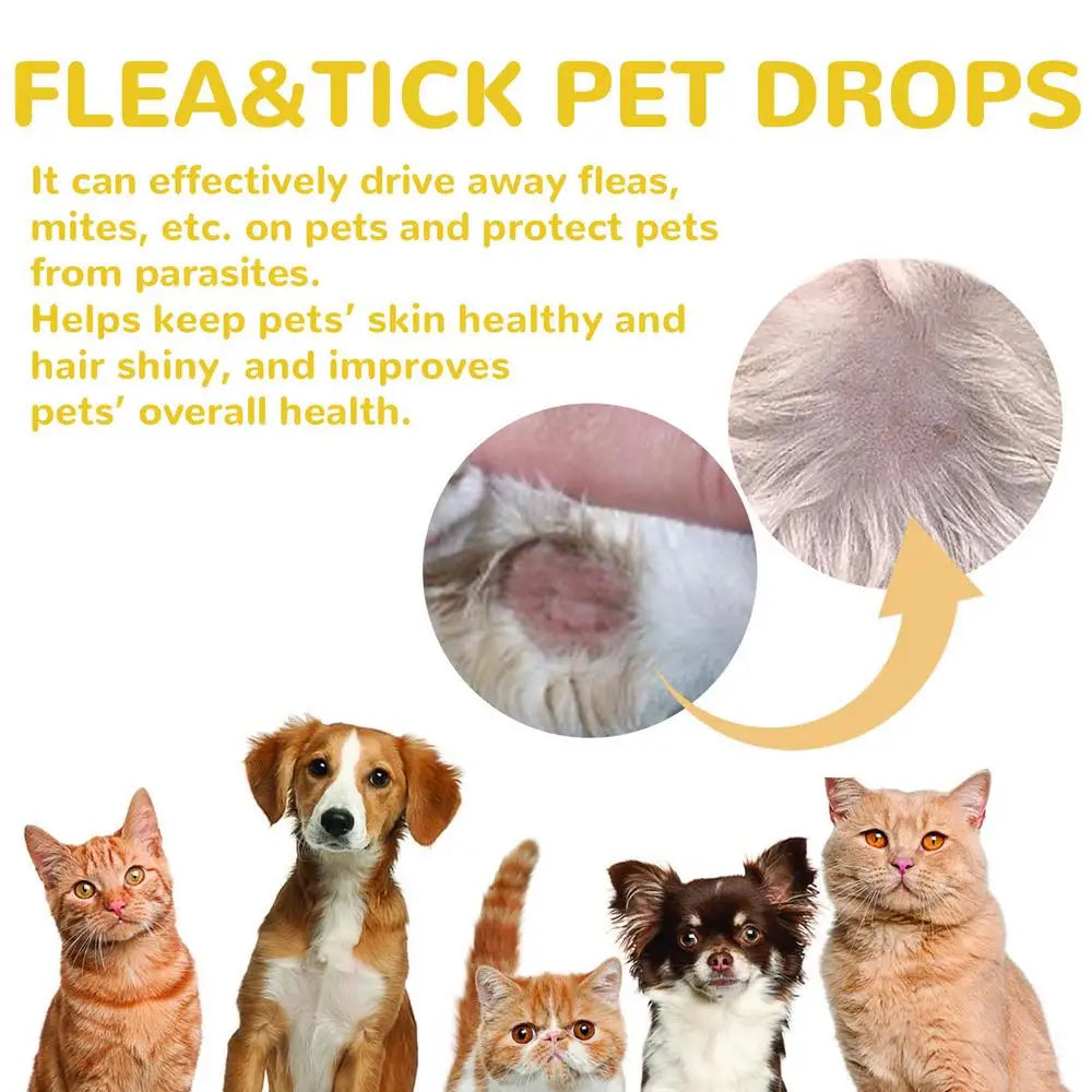 2Ml Pet Dog Cat Vitro Drops Long-Lasting Control Repel Fleas Ticks Lice Insect Remover Spray For Cats Kittens Dogs