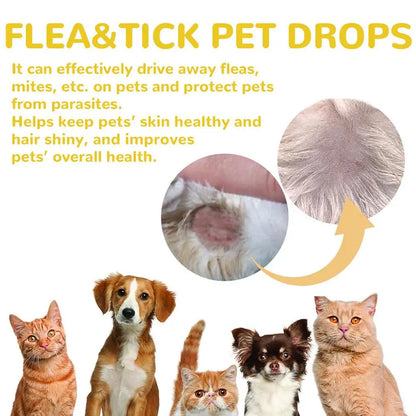 2Ml Pet Dog Cat Vitro Drops Long-Lasting Control Repel Fleas Ticks Lice Insect Remover Spray For Cats Kittens Dogs