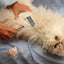 Pet Hair Comb Pet Hair Remover Cats Grooming Comb Non-Slip Pet Hair Comb with Wooden Handle and Comfortable Grip for Home Pet