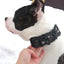 Reflective Puppy Big Dog Collar with Buckle Soft Padded Wide Adjustable Pet Collar for Medium Large Dogs Pitbull Leash Dog Chain