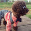 Anti-slip Cat Sunglasses Pet Accessories Small Dog Sun Glasses Classic Retro Circular Glasses for Kitten Photos Props Cosplay