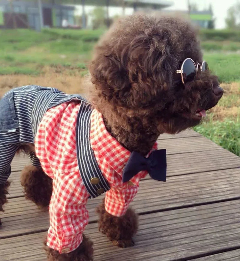 Anti-slip Cat Sunglasses Pet Accessories Small Dog Sun Glasses Classic Retro Circular Glasses for Kitten Photos Props Cosplay