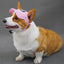 Pet Hat Dog Baseball Hat Sun Visor Hat With Ear Holes Dog Outdoor Sport Sun Protection Baseball Hat For Small To Large Dogs