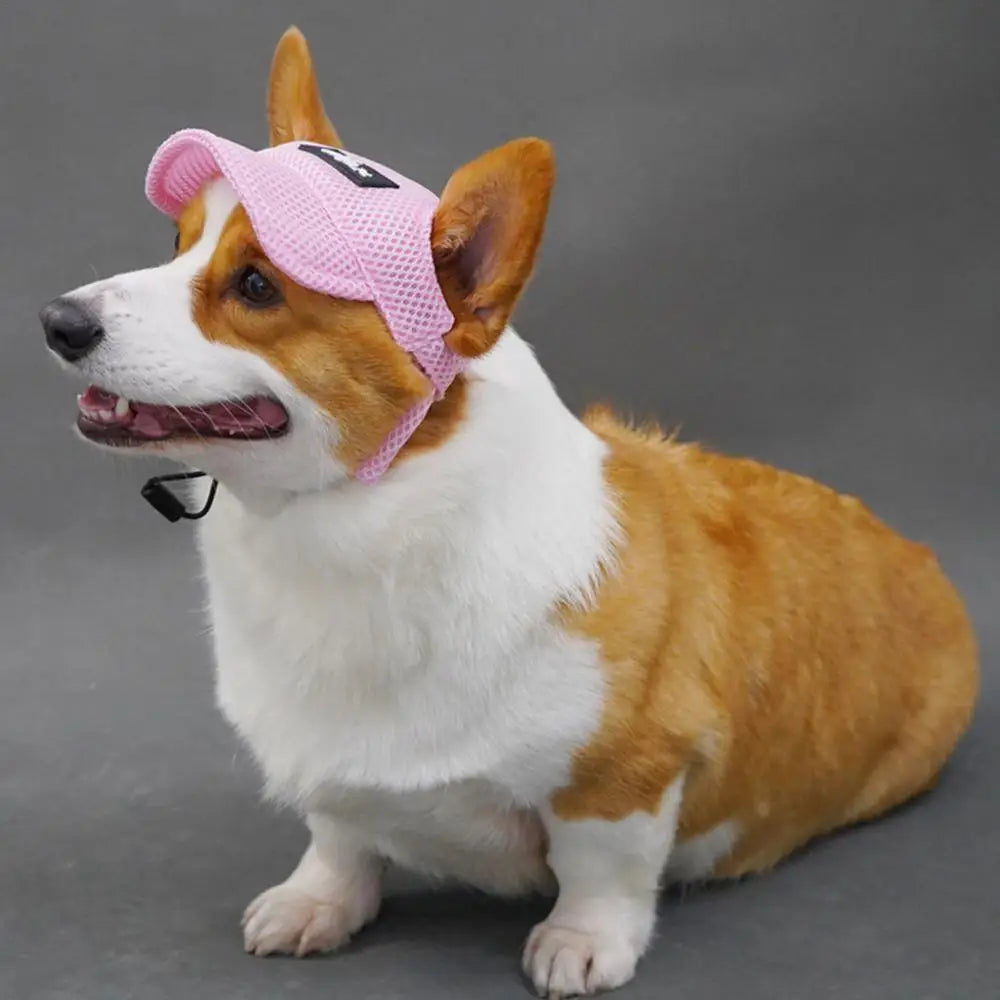 Pet Hat Dog Baseball Hat Sun Visor Hat With Ear Holes Dog Outdoor Sport Sun Protection Baseball Hat For Small To Large Dogs