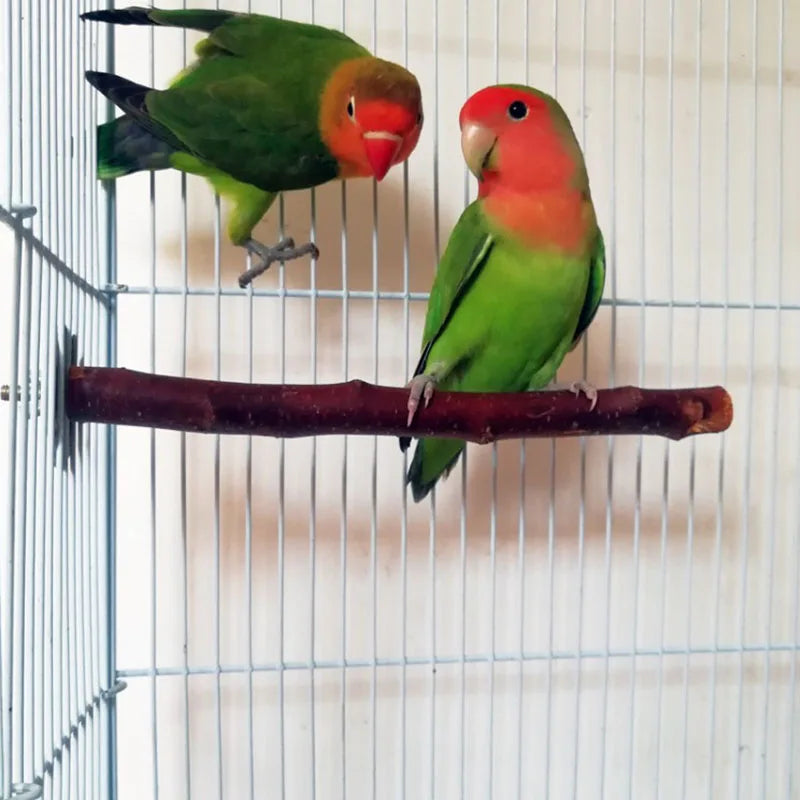Natural Wood Pet Parrot Raw Wood Fork Tree Branch Stand Rack Squirrel Bird Hamster Branch Perches Chew Bite Toys Stick Supplies