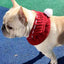 Solid Wool Knitting Pet Dog Hat New Year Protective Head Wear French Bulldog Kitten Accessories Versatile Outdoor Pet York Scarf