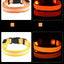 LED Safety Collar For Small And Medium Dogs - Adjustable, Flashing Glow For Night Walking
