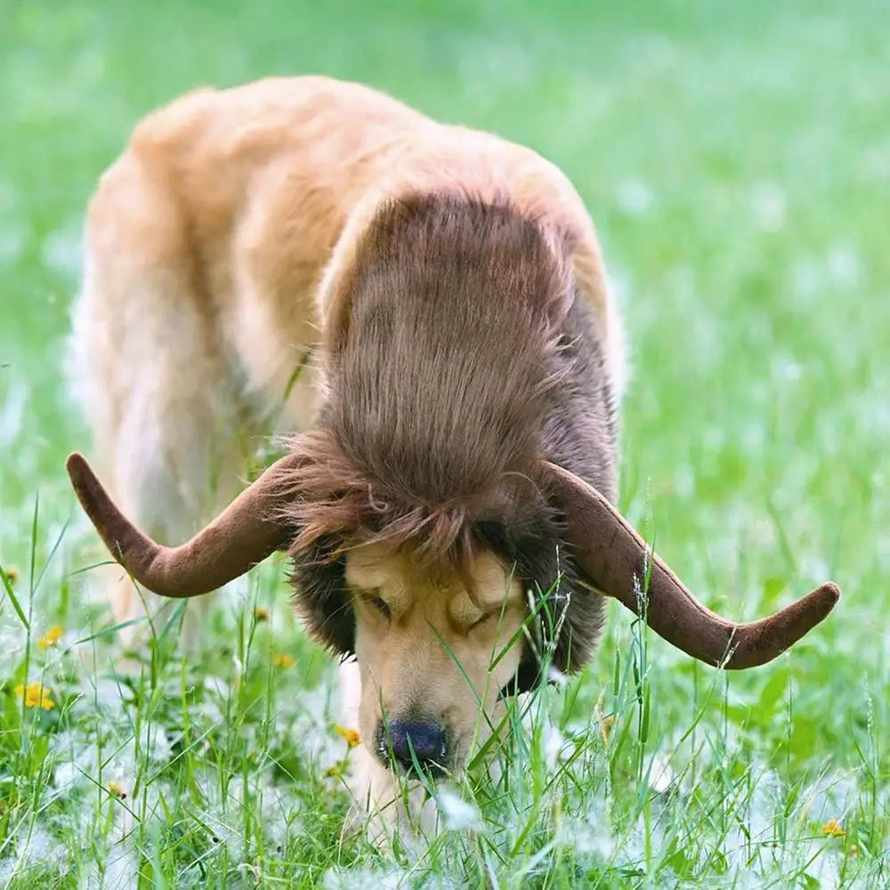 Funny Horn Headgear Pet Hat Headwear Wig Pet Dog Cat Halloween Clothes Pet Dog Accessories For Large Dogs Pet Supplies