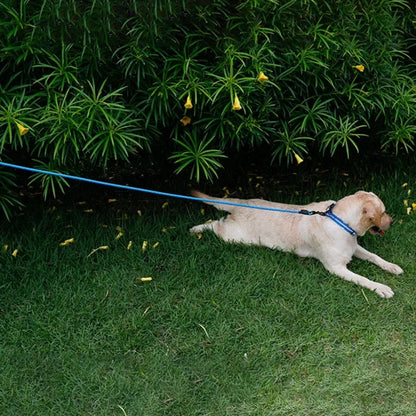 Waterproof PVC Pet Dog Leash 5m 10m Recall Training Leash Strong Tie Out Cable For Small Medium Large Dogs