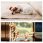 UXCELL Reusable Dog Diapers Female Dog Suspender Panties Casual Physiological Pants Adjustable Strap Striped Washable Underwear