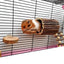 Natural Wood Pet Parrot Raw Wood Fork Tree Branch Stand Rack Squirrel Bird Hamster Branch Perches Chew Bite Toys Stick Supplies