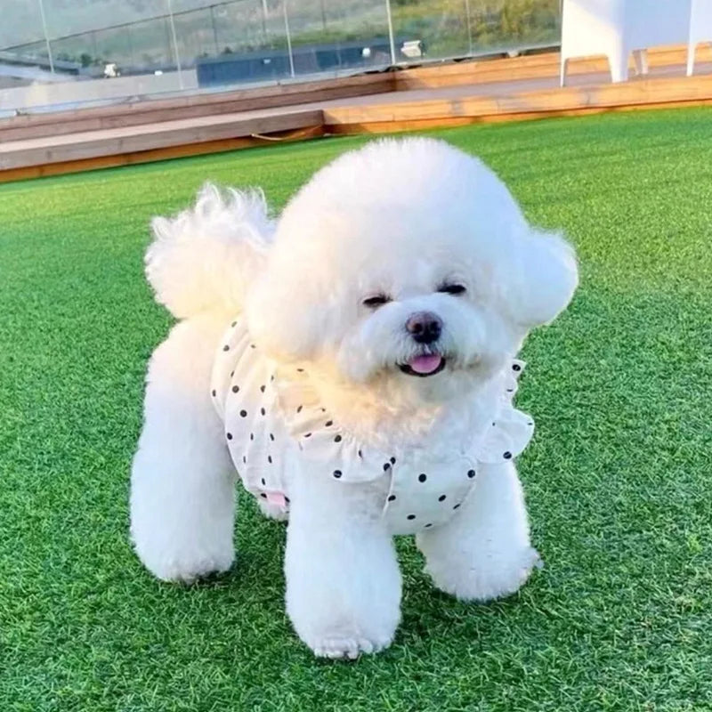 Cute Pet Dog Dress Dot Dog Summer Clothes Puppy Skirt Chihuahua Bichon French Bulldog Clothing Thin Girl Dog Costume Cat Dresses