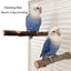 Natural Wood Pet Parrot Raw Wood Fork Tree Branch Stand Rack Squirrel Bird Hamster Branch Perches Chew Bite Toys Stick 1Pcs