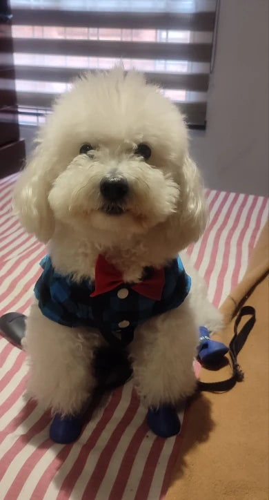 Bowtie Dog Blouse Classical Breathable Plaid T-Shirts Summer Dog Clothes for Small Dogs Puppy Large Cat Vest Chihuahua Yorkies