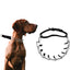 Dog Prong Pinch Collar Adjustable Quick Release Dog Training Collar with Rubber Tip for Small Medium Large Dogs Pet Dog Supplies