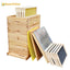 Benefitbee beekeeping 3 layers Langstroth beehive kit with 1 deep box and 2 super boxes bee hive complete