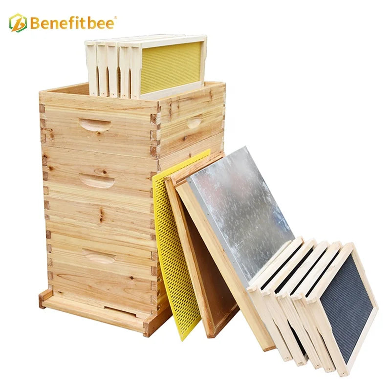 Benefitbee beekeeping 3 layers Langstroth beehive kit with 1 deep box and 2 super boxes bee hive complete
