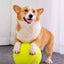 Giant Tennis Ball For Dog Chew Toy Pet Dog Interactive Toys Big Inflatable Tennis Ball Pet Supplies Outdoor Cricket Dog Toy