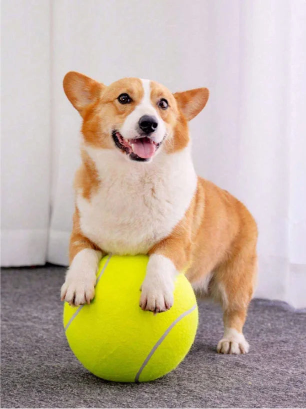 Giant Tennis Ball For Dog Chew Toy Pet Dog Interactive Toys Big Inflatable Tennis Ball Pet Supplies Outdoor Cricket Dog Toy