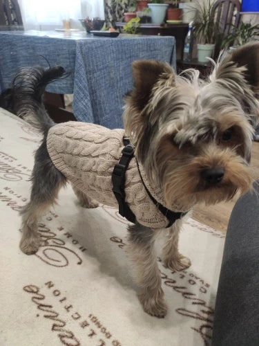 Warm Dog Clothes Knitted Clothes for Dogs Chihuahua Sweater for Small Dogs Winter Clothes for Sphinx Cat Dog Sweater for York
