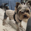 Knitted Clothes For Dogs Chihuahua Sweater For Small Dogs Winter Clothes For Sphinx Cat Dog Sweater For York Warm Dog Clothes