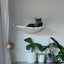 Cat Climbing Shelves Wall Mounted Cat Bridge Scratching Post with Platform and Cat Platform Hammock Pet Scraper For Cat