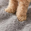 Pet Accessories Dog Bed Small Dog Baskets Puppy Breeds Dogs Medium Bedding Pets Products Large Bad Mat Cushions Beds Big Cushion