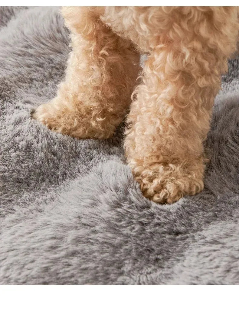 Pet Accessories Dog Bed Small Dog Baskets Puppy Breeds Dogs Medium Bedding Pets Products Large Bad Mat Cushions Beds Big Cushion