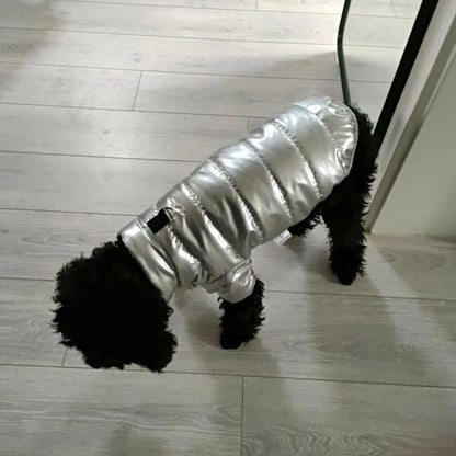 Puppy Pet Dog Clothes Outdoor Windproof Waterproof Leather Dog Coat Winter Warm Padded Jacket for Dogs and Cats in Cold Weather