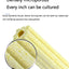 5Pcs Aquarium Filter Nano Biochemical House Media Nitrifying Bacteria Fish Tank Accessories For Aquarium Water Cleaning Medias