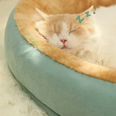 Cats Bed Accessories Puppy Goods Things All Beds Pet Products Houses Supplies Kitten Accessory House Basket Habitats Cushions