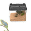 Lizard Tank Transparent Snake Tank Lizard Terrarium Small Reptile Habitat Breeding Box Amphibians Enclosure Sliding Cover Keeper