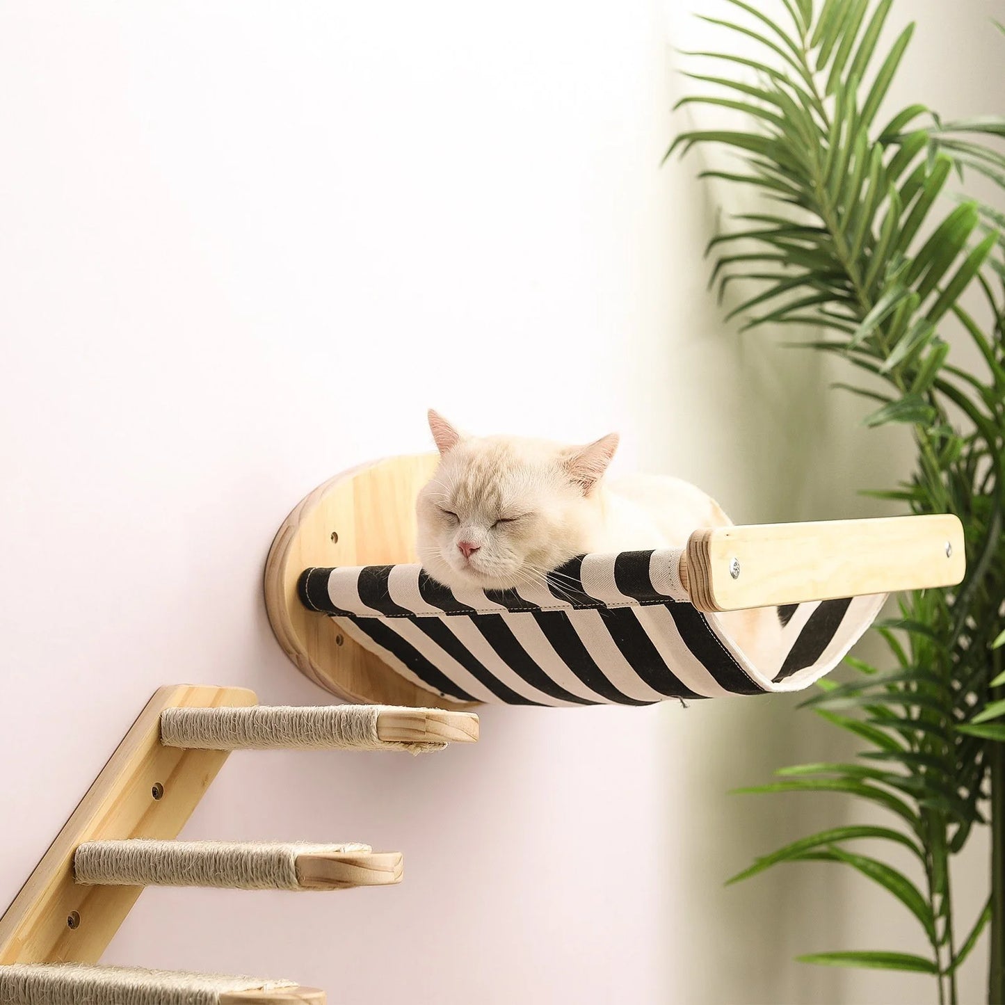 High-Quality Wall-Mounted Cat Scratching Furniture  With Cat Climbing Perches Hammock Wall Steps For Sleeping And Playing