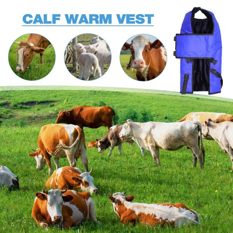 Calf Blanket Blue Waterproof Livestock Protector Blanket Oxford Fabric Thickened Calf Coat Calf Warmer Soft Protector Jacket