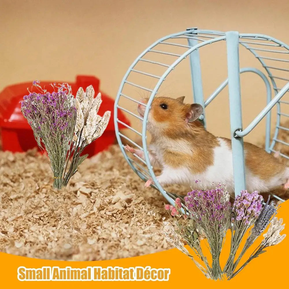 Flower And Plant Bedding Natural Hamster Bedding Hamster Deodorizing Bedding Small Animal Deodorant Product Landscaping Supplies