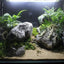 1pcs Natural Aquarium Decor Lava Stone Rockery Landscaping Fish Tank Microporous Volcanic Stone Porous Good for Plants Growth