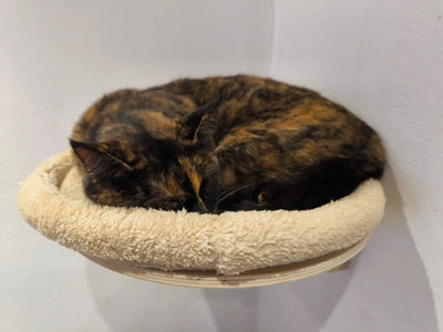 Cat Nest Wall Mounted Cat Climbing Shelf Cat Hammock Double Platform for Cats Climbing & Playing Detachable For Cleaning Thicken