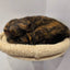 Cat Nest Wall Mounted Cat Climbing Shelf Cat Hammock Double Platform for Cats Climbing & Playing Detachable For Cleaning Thicken