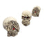 Resin Aquarium Ornaments Decoration Simulated Character Skull Decoration For Fish Tank Ornament Aquatic Pet Supplies Decorations