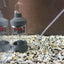 Aquarium Filter Fish Poop Stool Toilet Manure Suction Separator Filter Collector Fish Tank Cleaning Sponges Filters Oxygen Pump